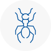 Ant Removals In Bilston