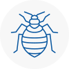 Bed Bug Extermination In Bilston