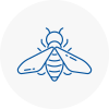 Bee Nest Removal Bilston