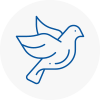 Bird Prevention Bilston