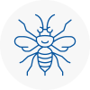 Bilston Hornet Nest Removals
