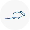 Mice Exterminators In Bilston