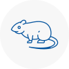 Rat Control Bilston