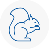 Bilston Rodent Removals