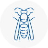 Bilston Wasp Nest Removal